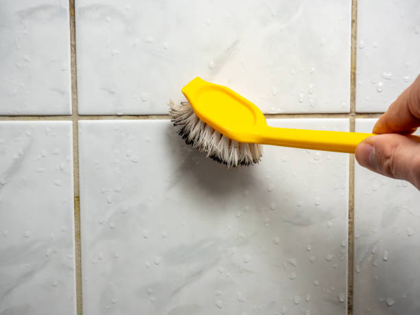 Water Damage Restoration in Point Of Rocks, MD